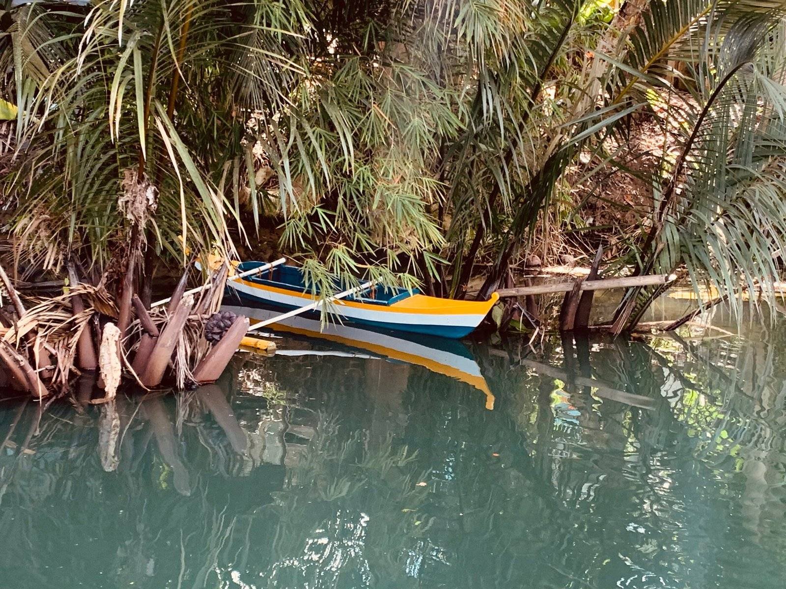 bateau coloré sur le bord de la rivière, palmier dans l'eau